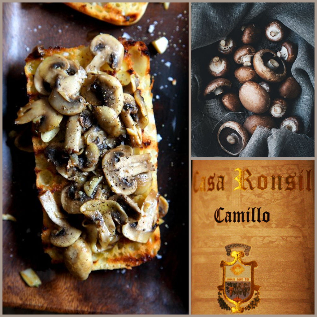 toast with muschrooms ! with Casa Ronsil wine's