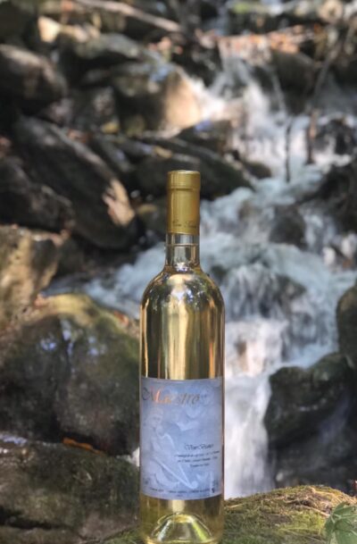 "Maestro" Vino Bianco vitigno Baratuciat della Valle di Susa (TO)